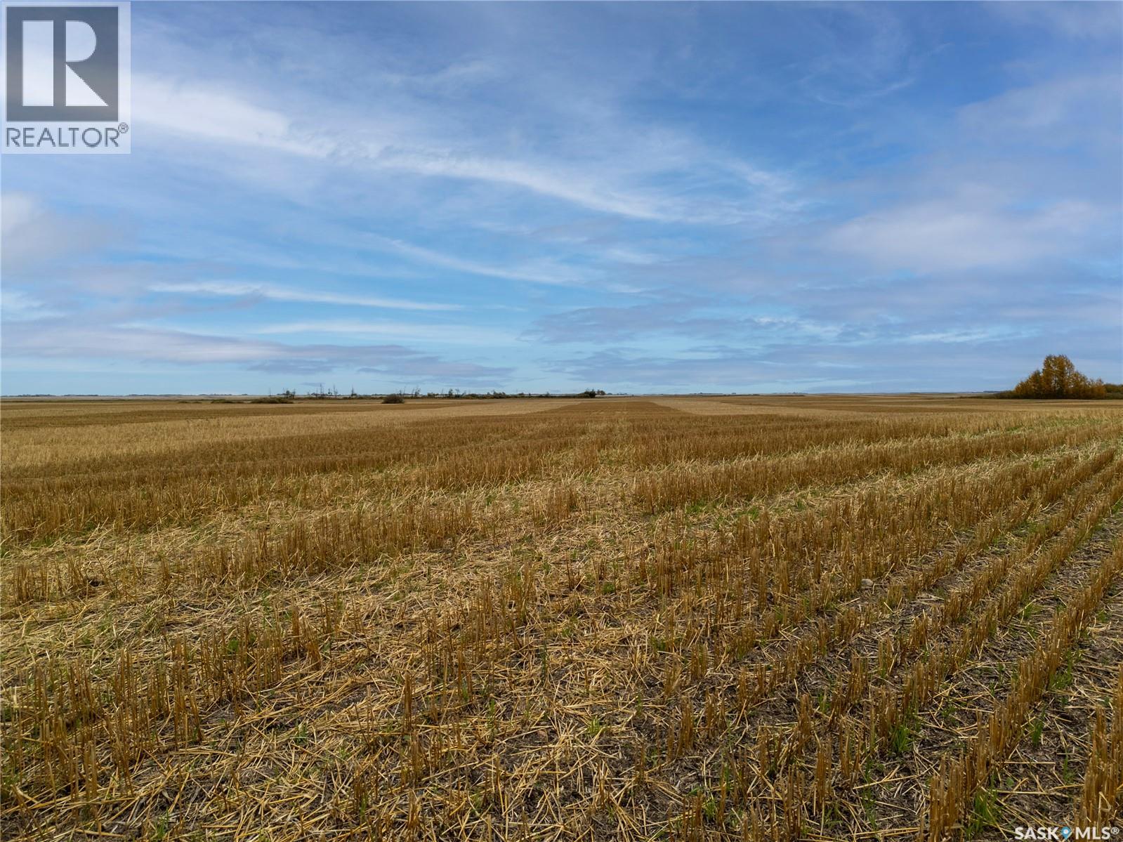 1403 Acres Premium Land Near Abernethy, Sk Property Photo 3