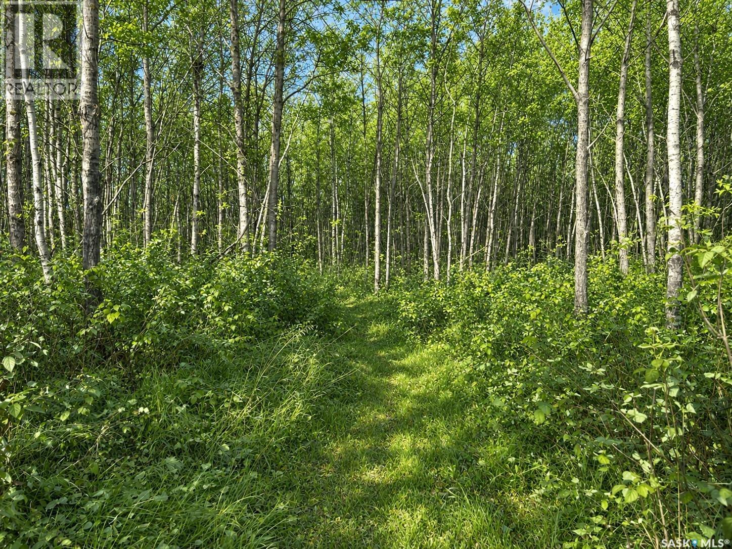 Briar Lea Acreage Property Photo 26