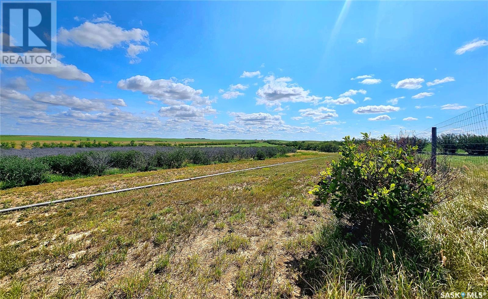 Shackleton Acreage Property Photo 7