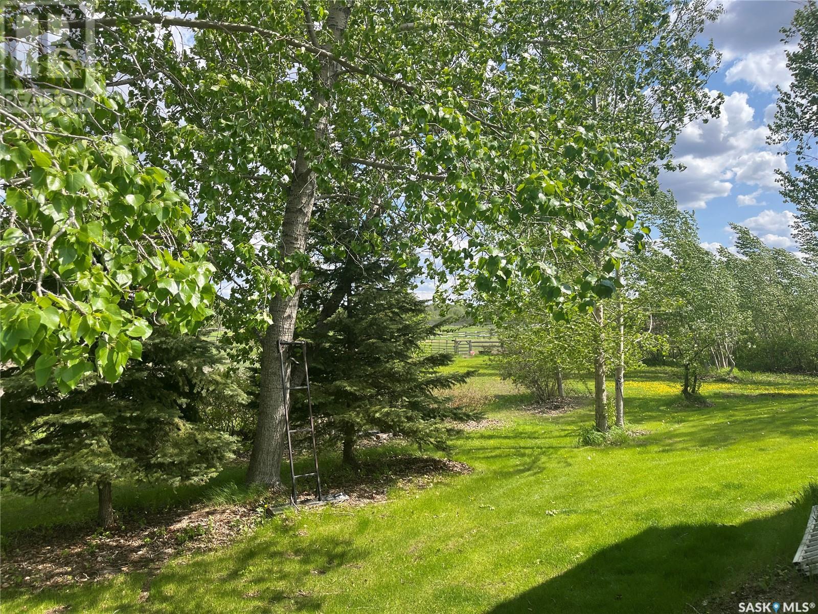 Wynyard Acreage Property Photo 40