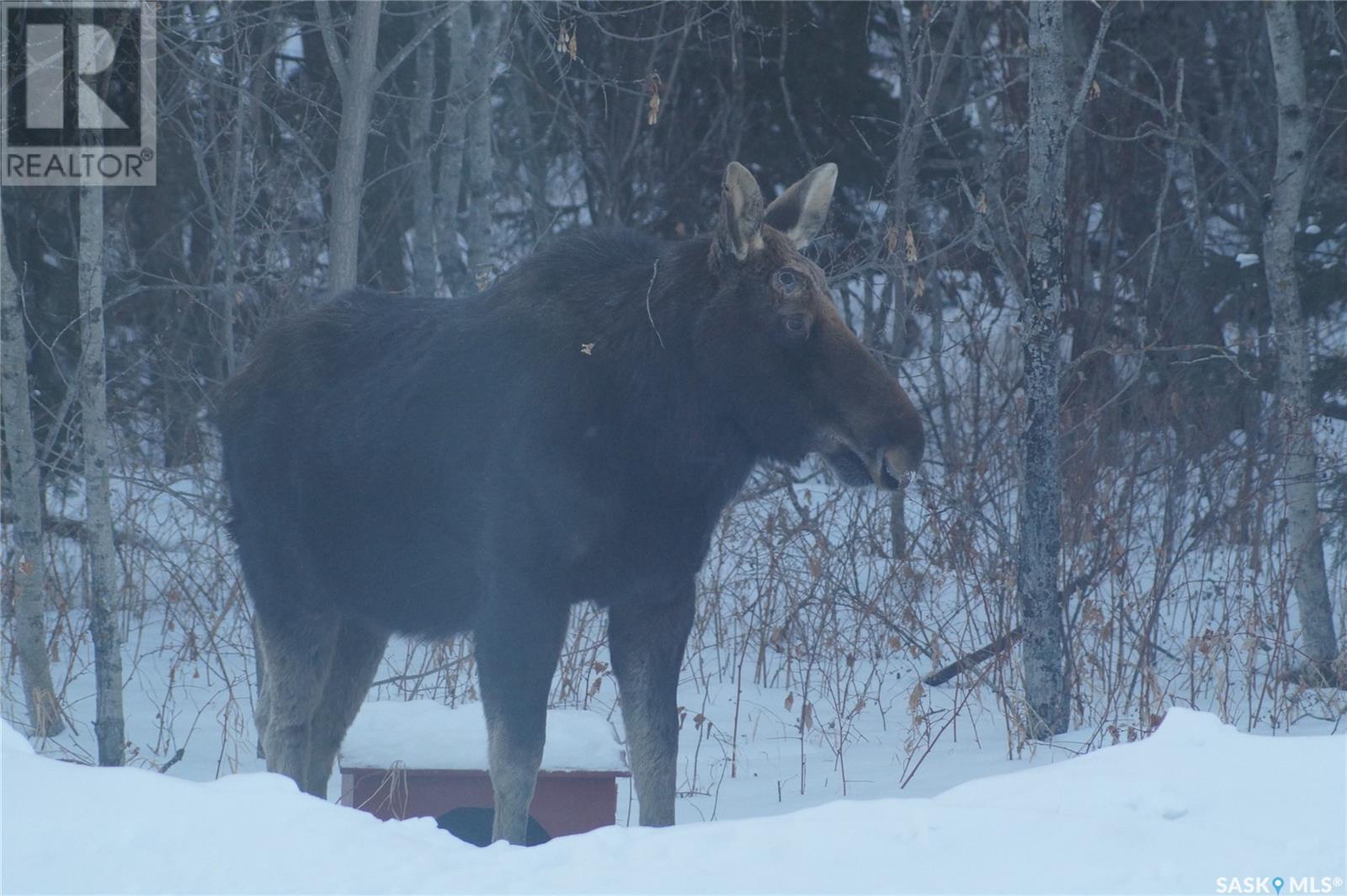Pitt Acreage Property Photo 36