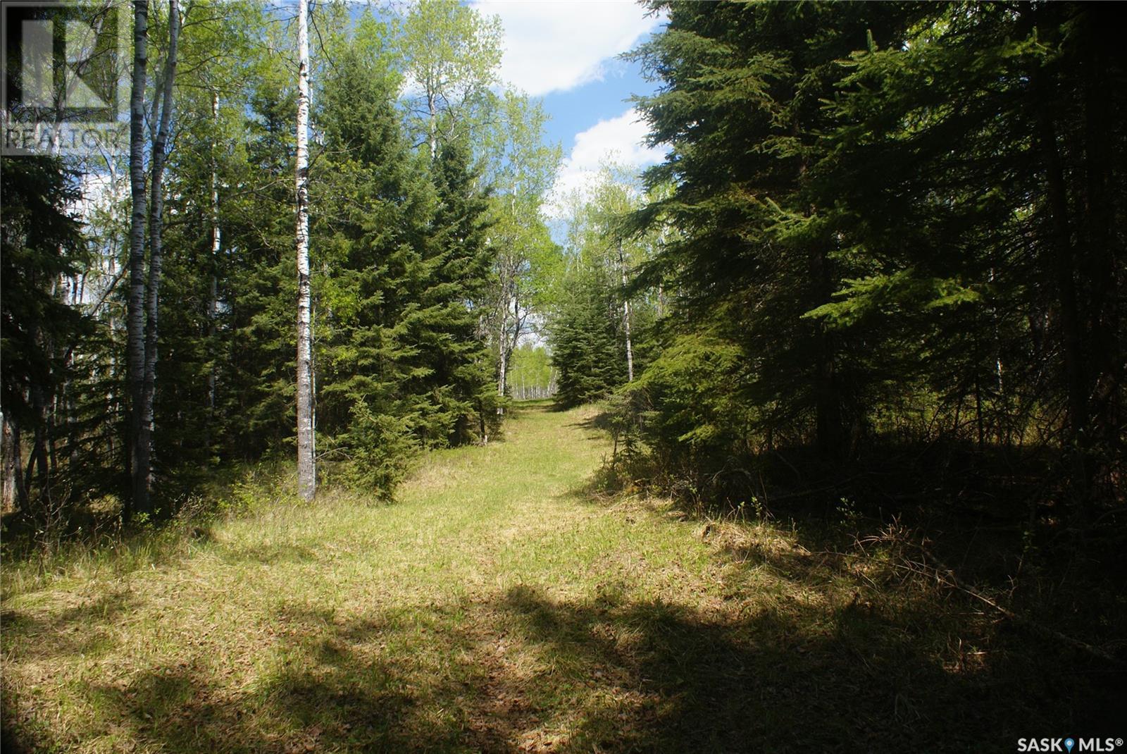 Pitt Acreage Property Photo 39