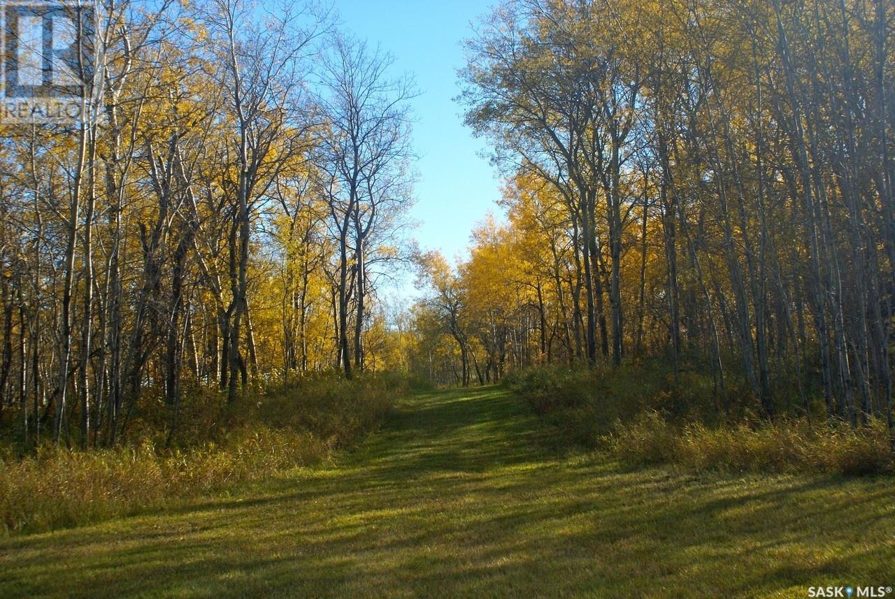 Pitt Acreage Property Photo 42