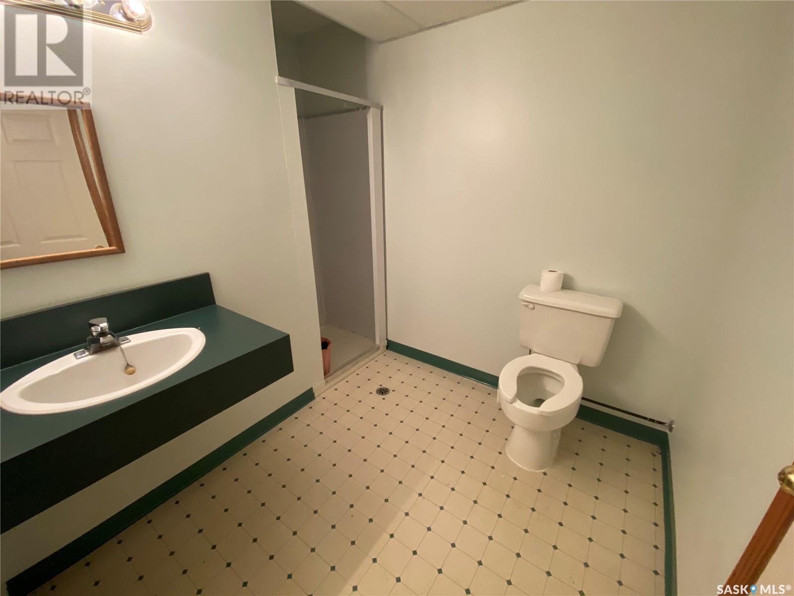 508 La Ronge Avenue Property Photo 19