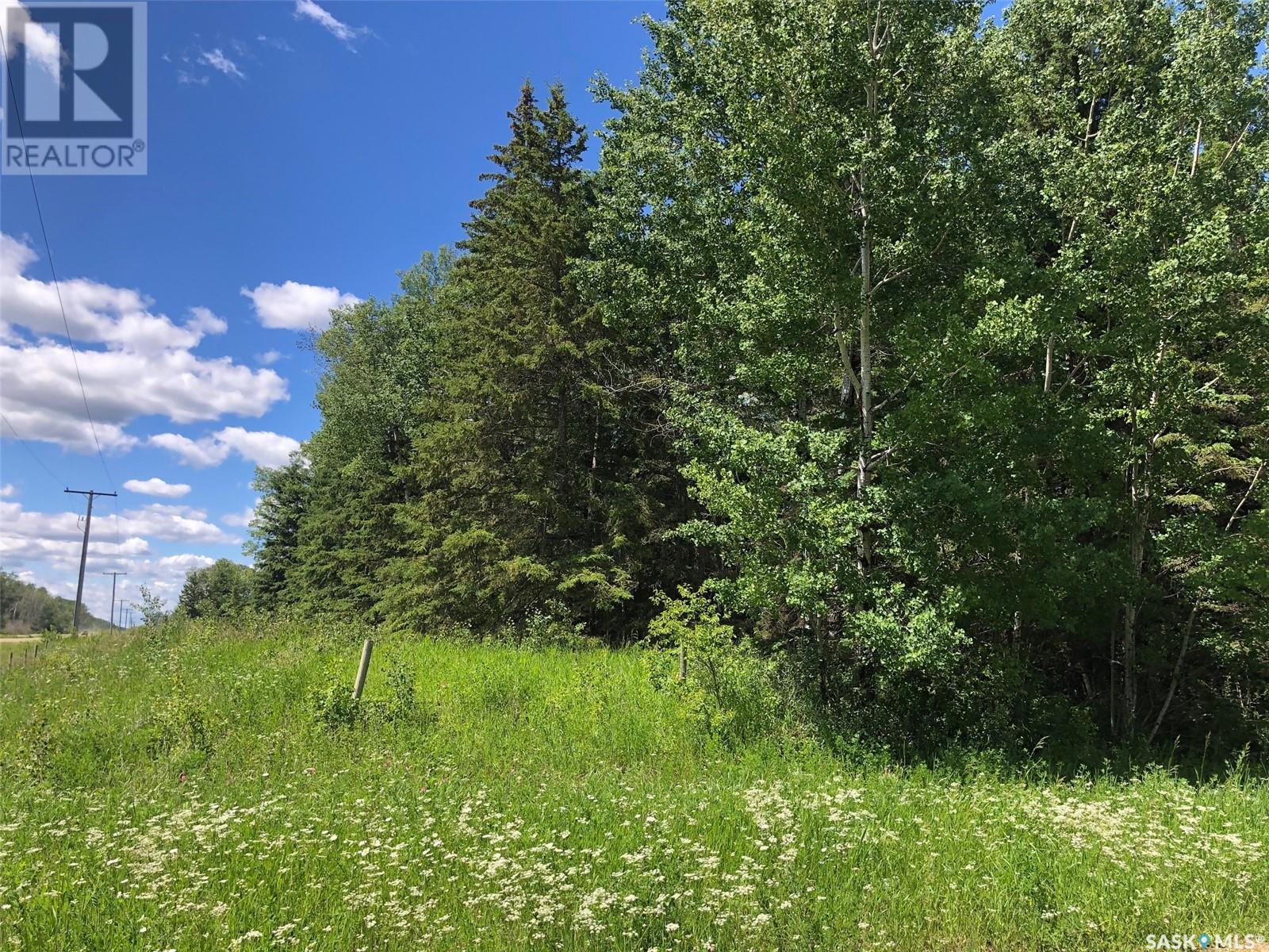 Recreation Land Property Photo 3