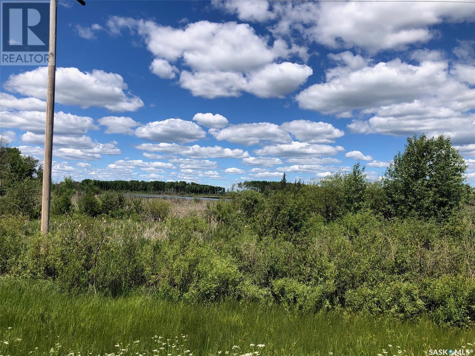 Recreation Land Property Photo 5