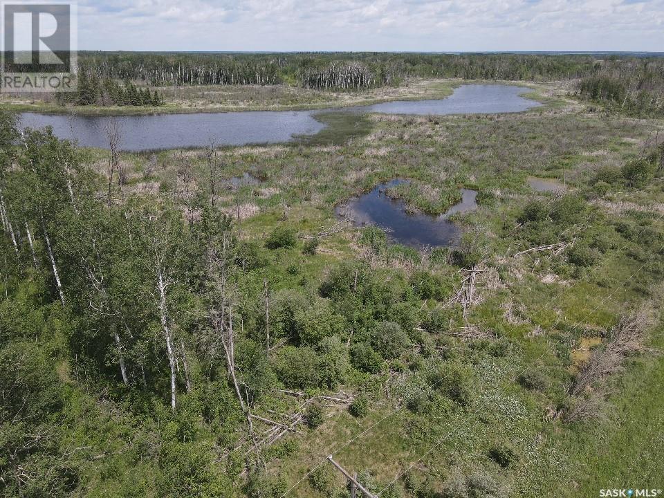 Recreation Land Property Photo 13