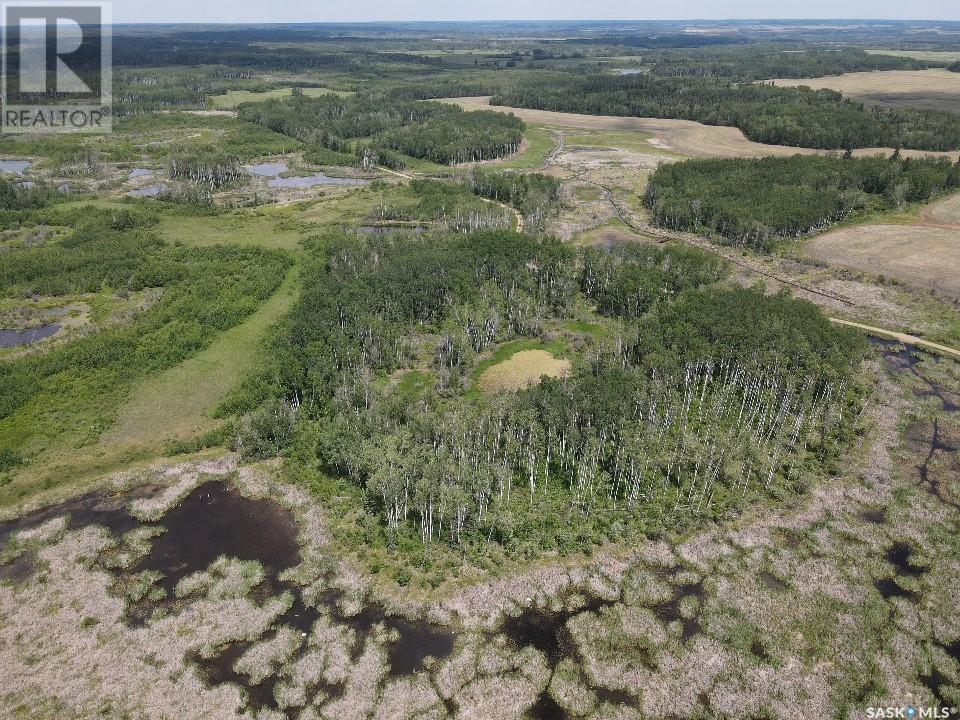 Recreation Land Property Photo 16