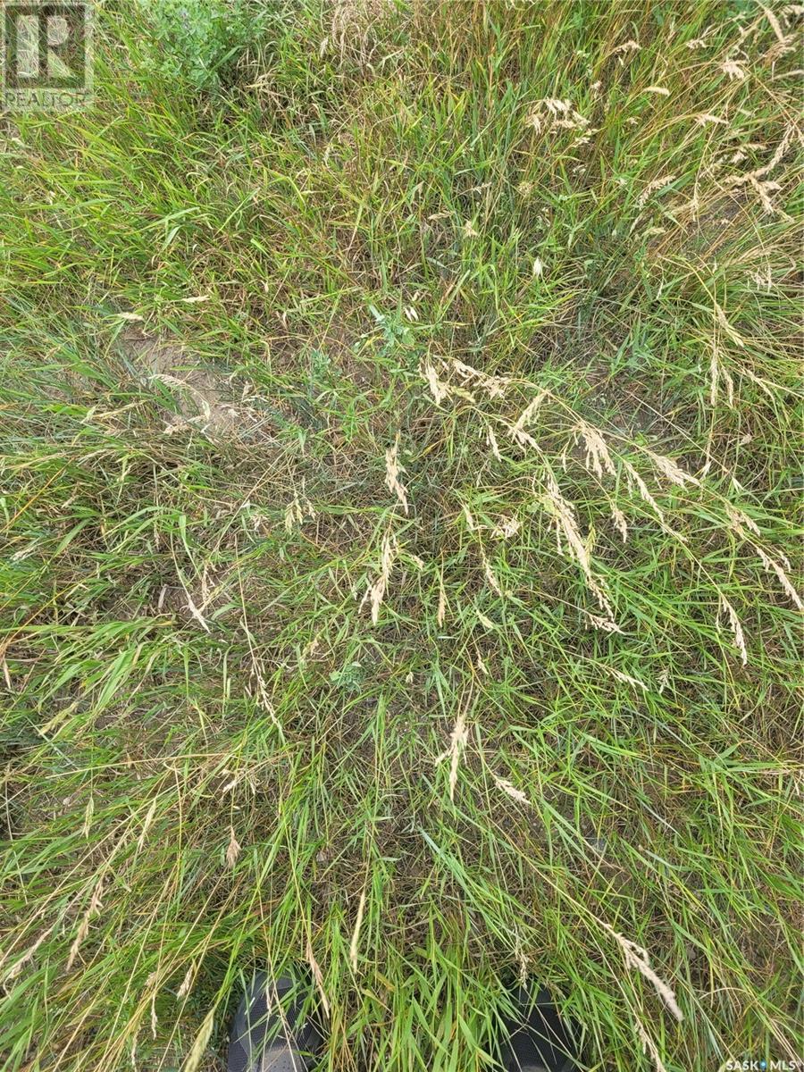 Rystrom #3 Land Property Photo 4