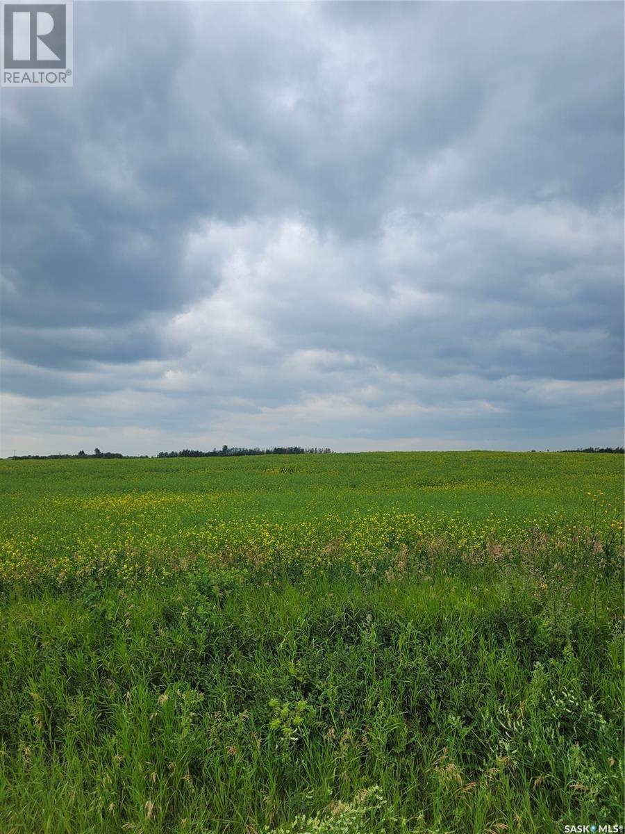 Rystrom #3 Land Property Photo 8