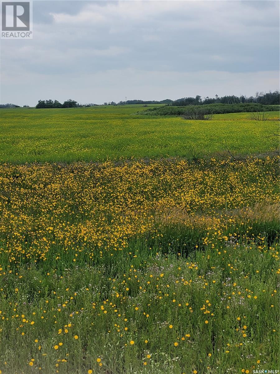 Rystrom #3 Land Property Photo 10