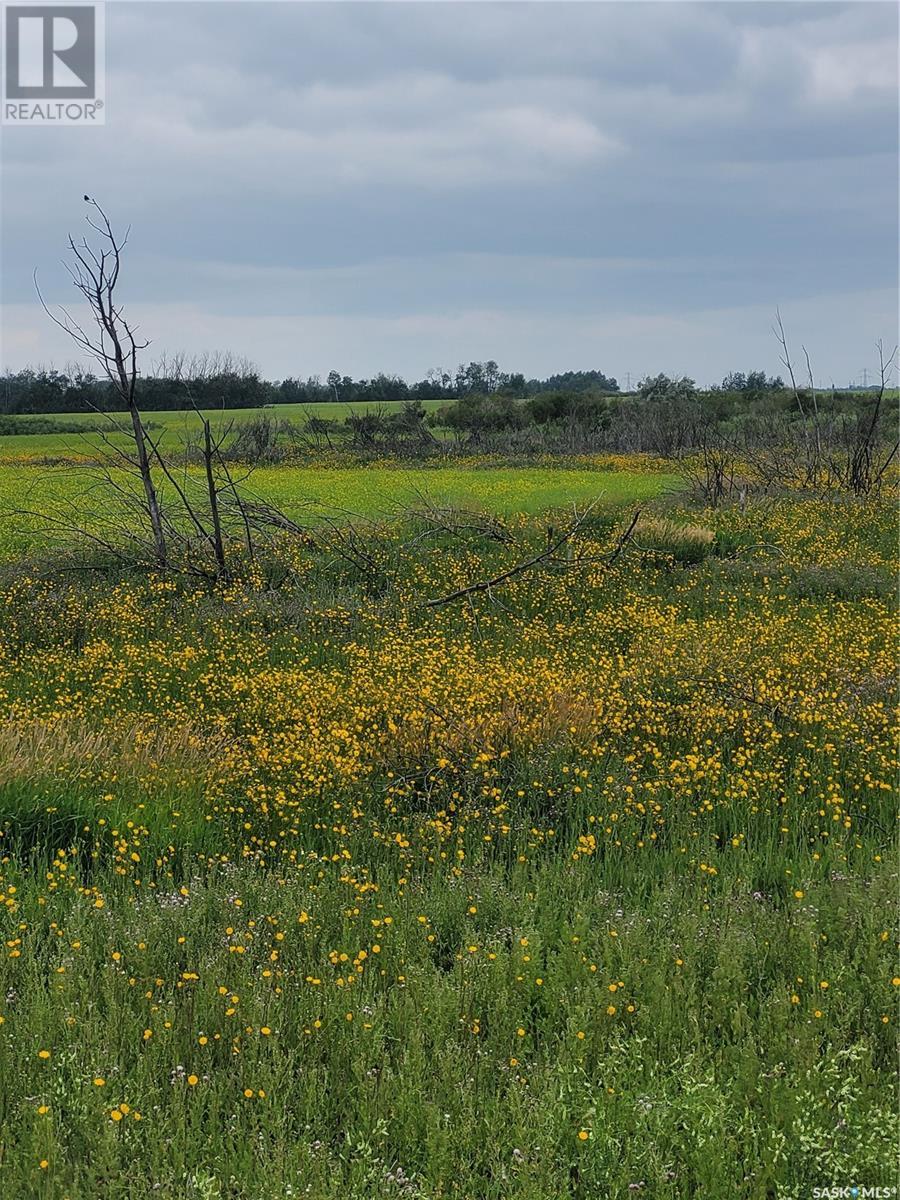 Rystrom #3 Land Property Photo 11