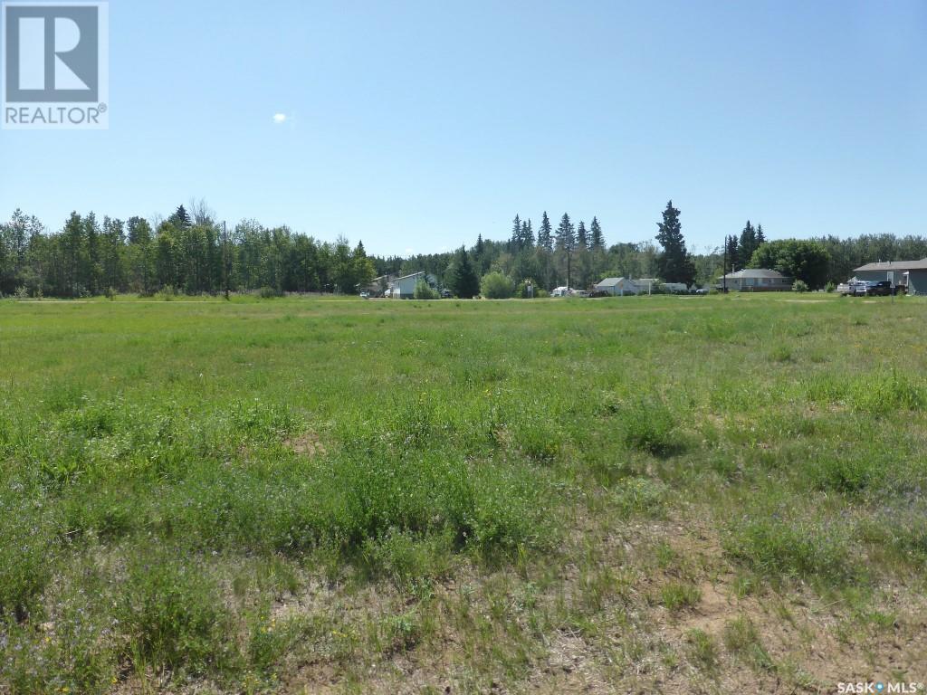 Lot 6 B Avenue Property Photo 5