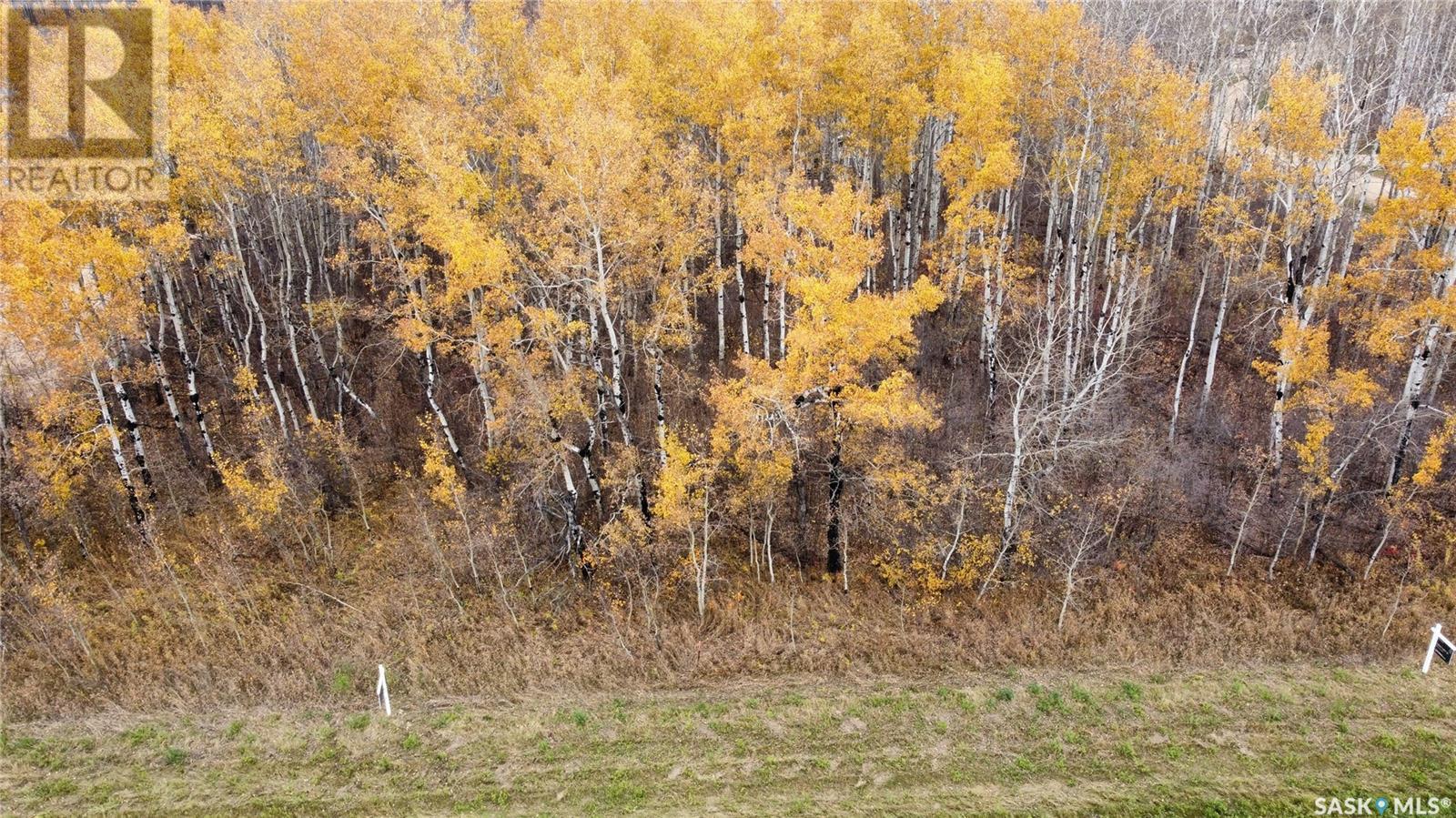 25 Black Bay Property Photo 1