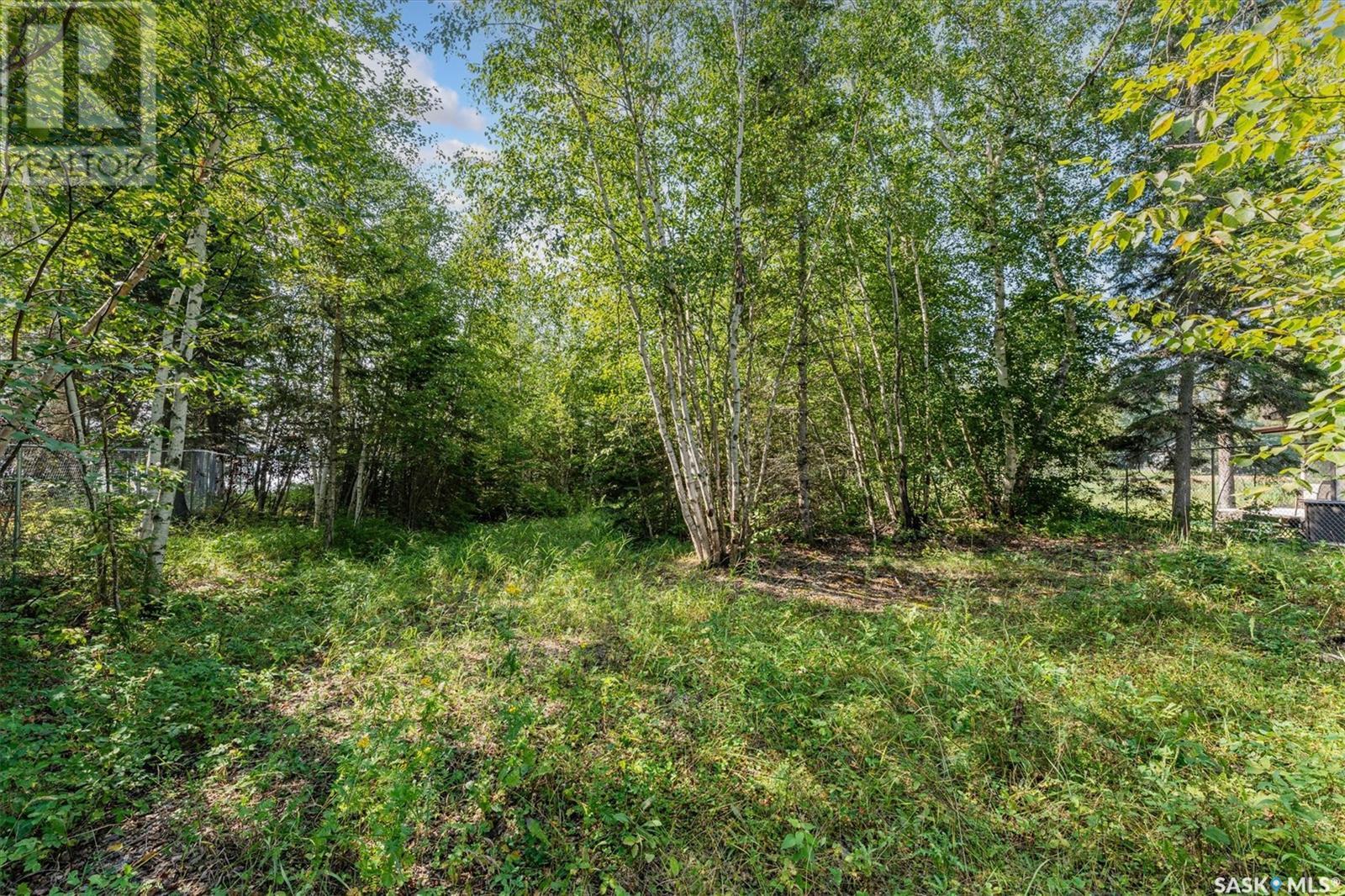 131 Jean Bay Property Photo 8