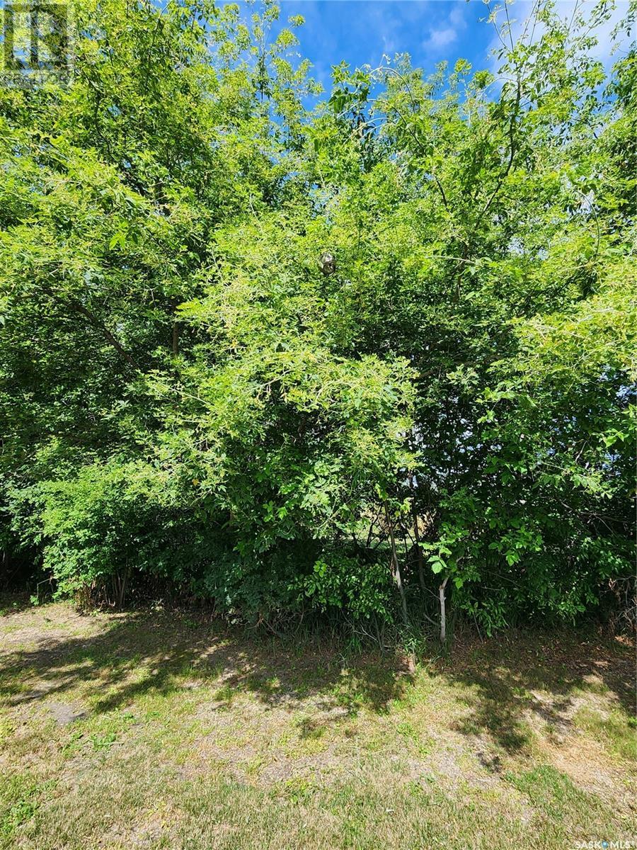 Holinaty Land Property Photo 4