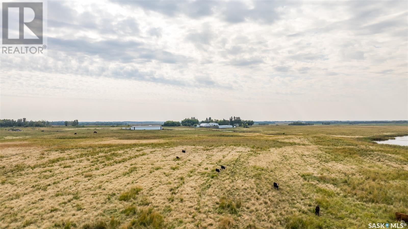 Campbell Road Ranch Property Photo 34