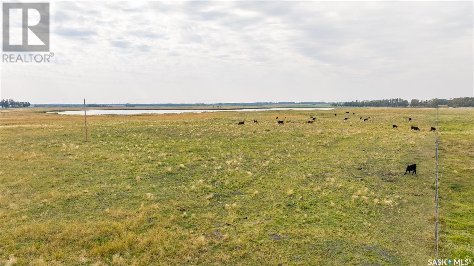 Campbell Road Ranch Property Photo 35