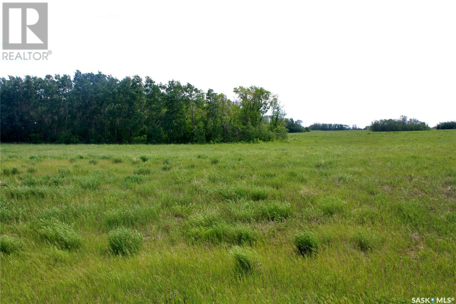 Bewer Land close to Saskatoon Property Photo 1