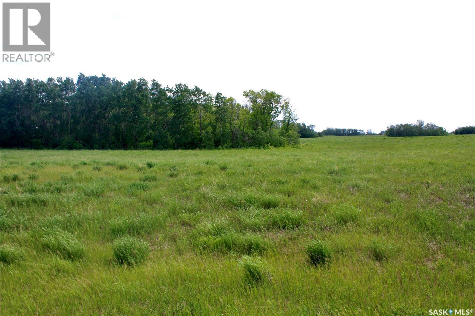 Bewer Land Property Photo 9