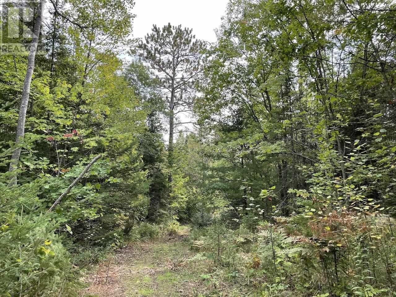 10263 Pcl Highway 17 Property Photo 1