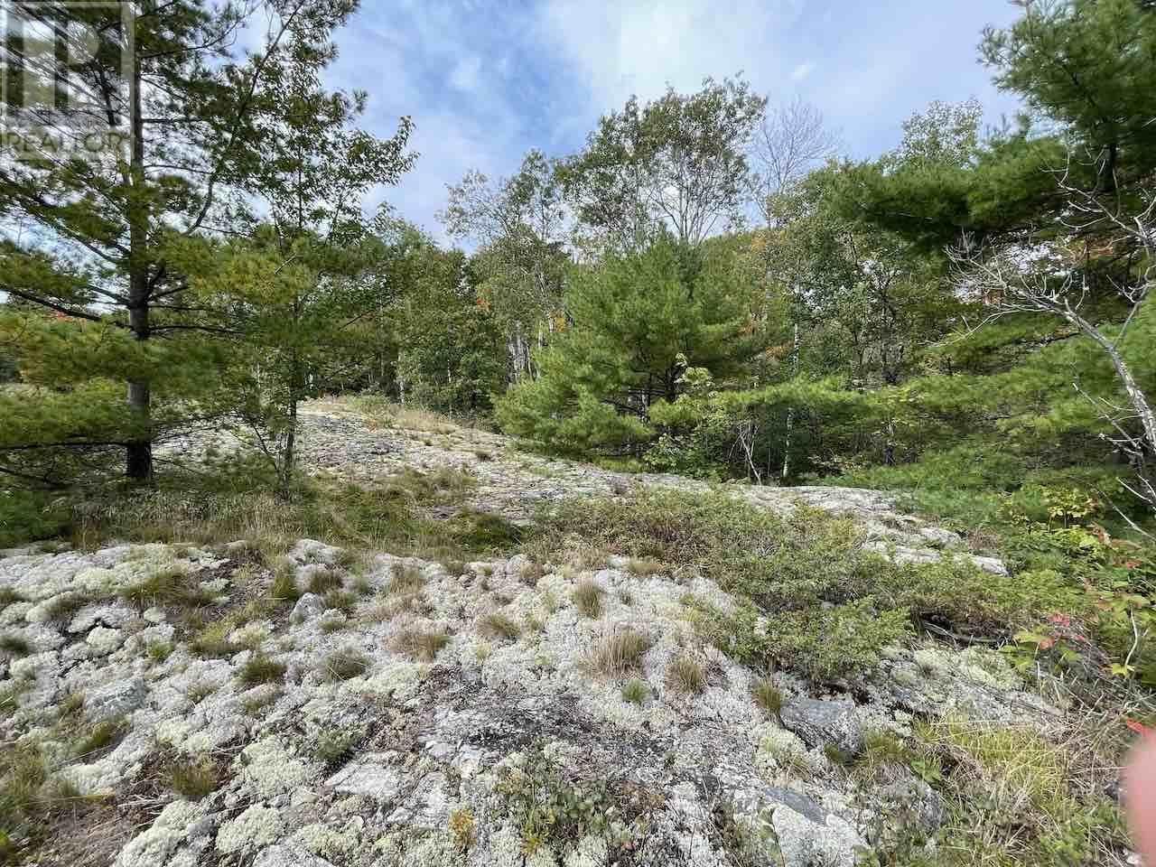 10263 Pcl Highway 17 Property Photo 6