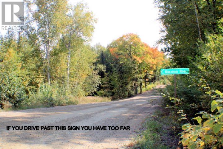 Highway 556 Ranger Lake Rd Property Photo 3