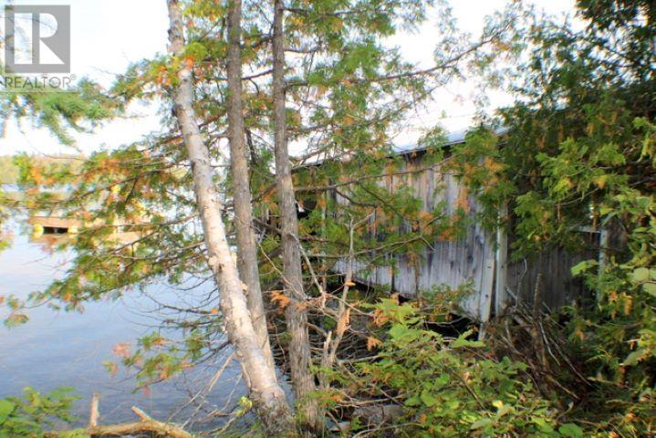 Highway 556 Ranger Lake Rd Property Photo 34