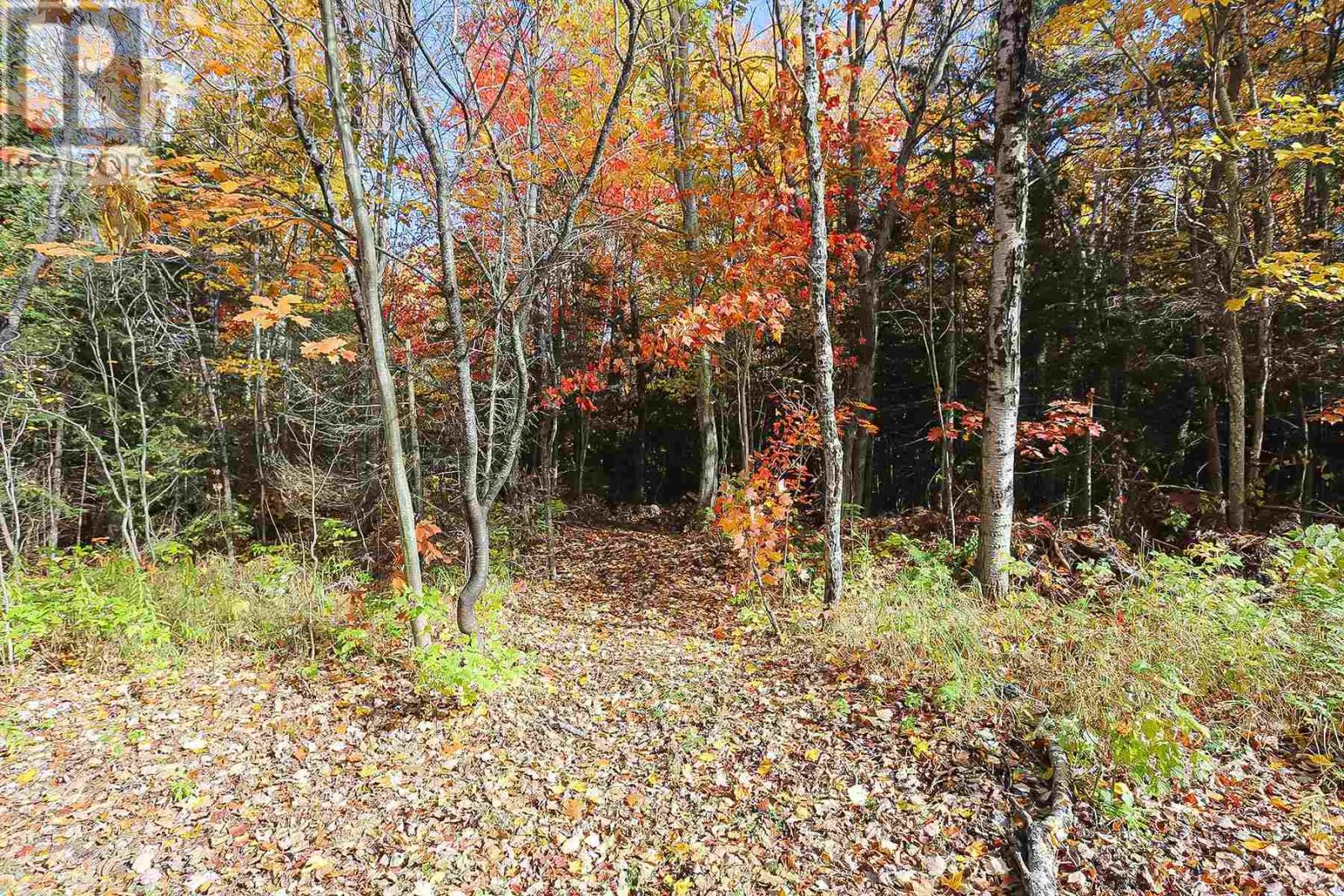 Lot 17 Nokomis Beach Rd Property Photo 5