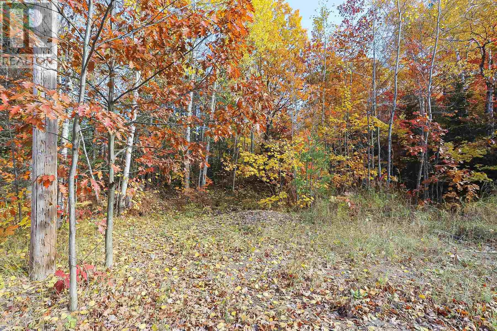 Lot 17 Nokomis Beach Rd Property Photo 7