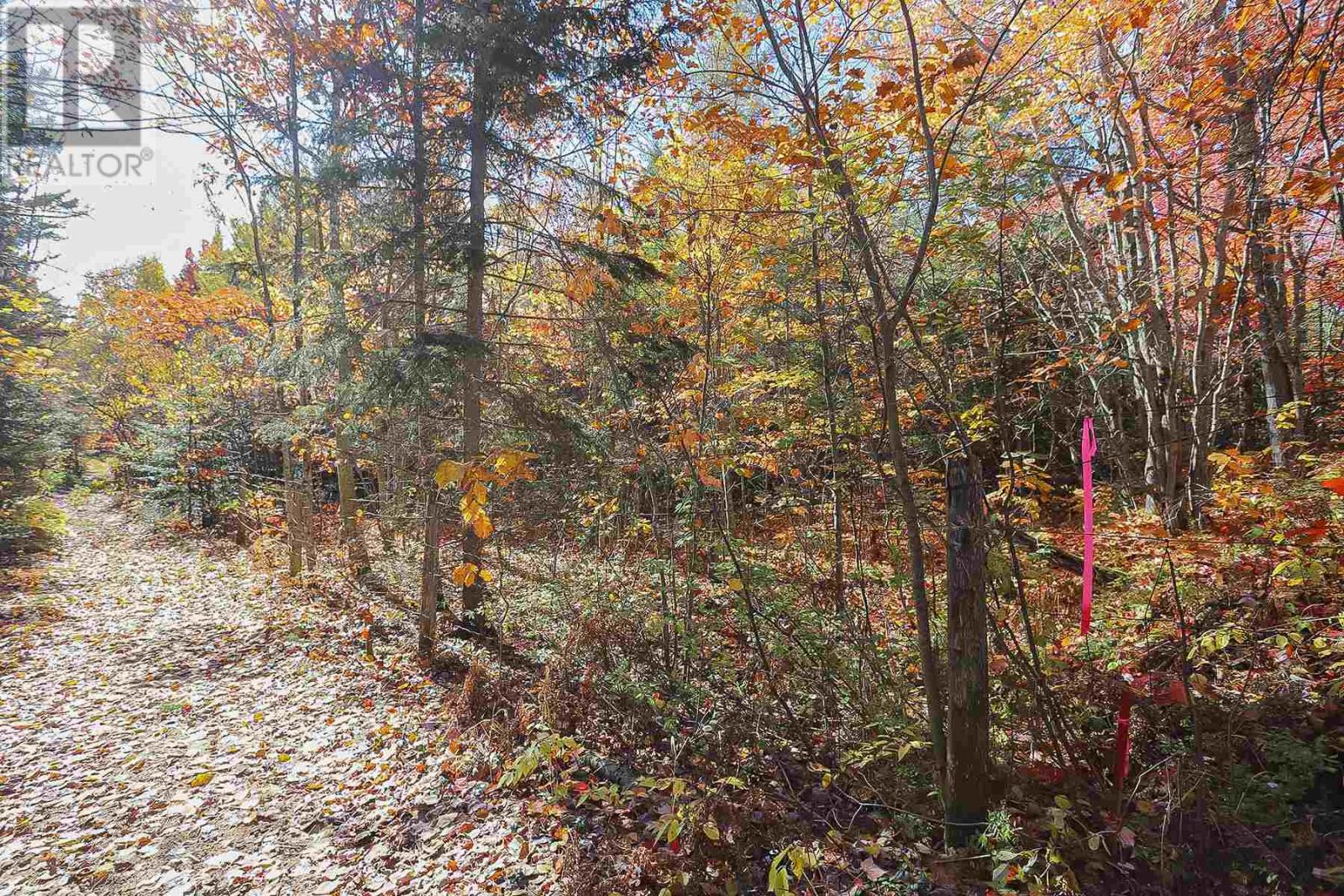 Lot 17 Nokomis Beach Rd Property Photo 10