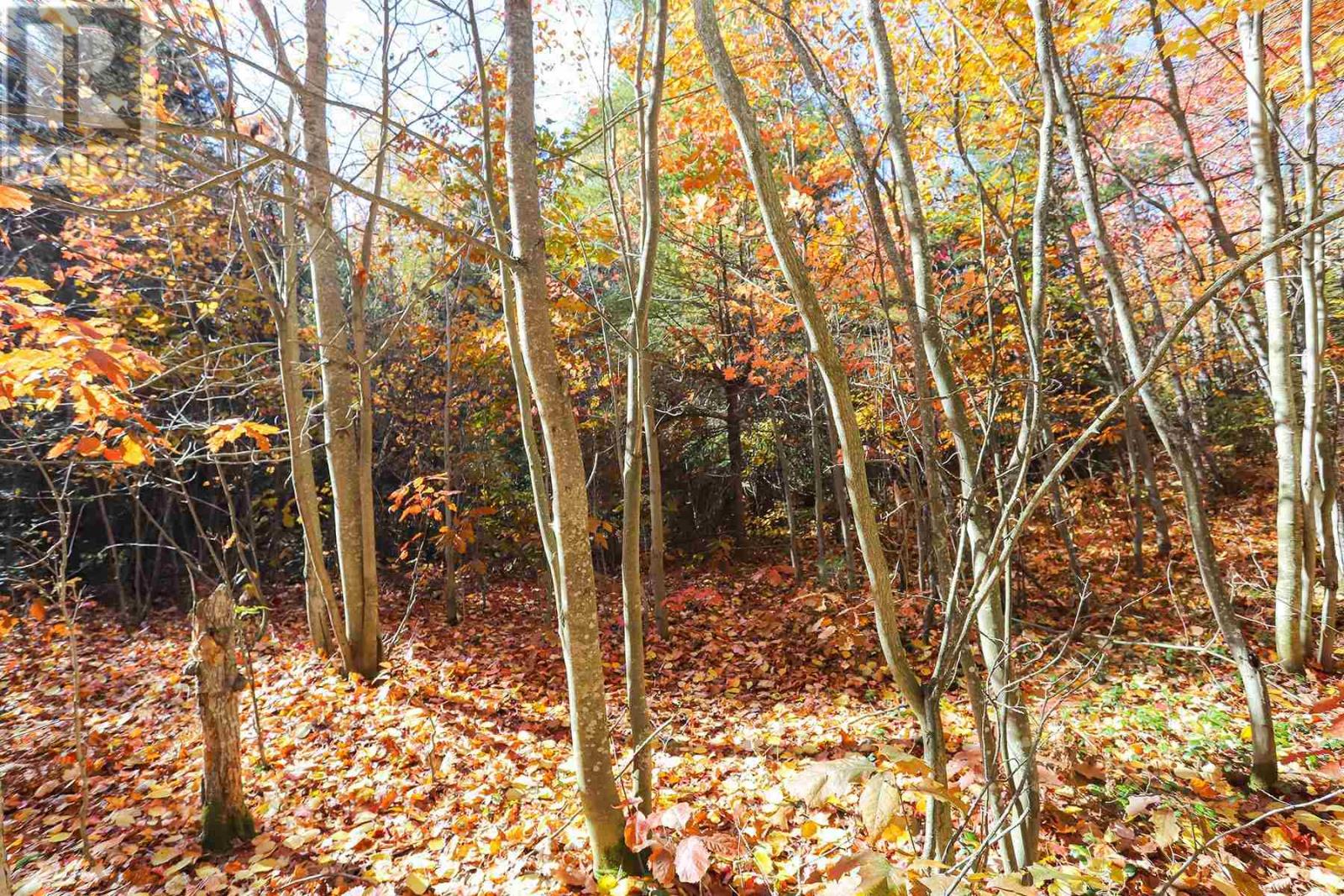 Lot 17 Nokomis Beach Rd Property Photo 11
