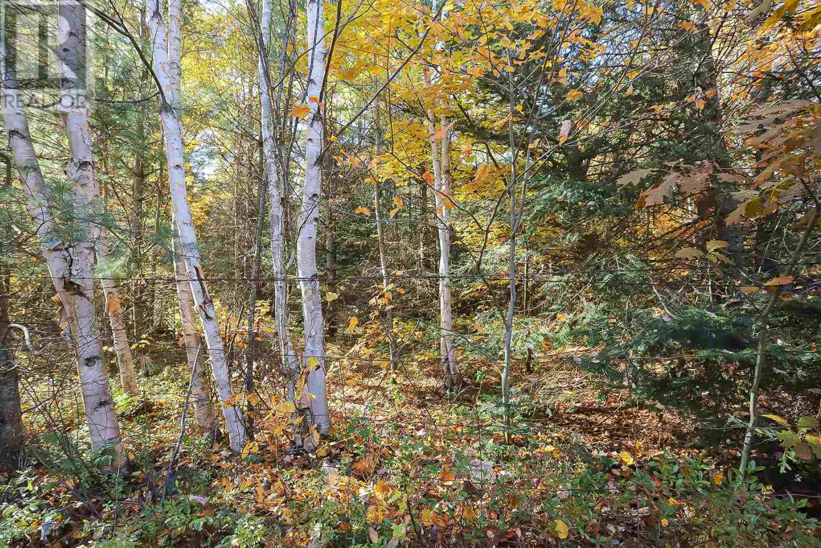 Lot 17 Nokomis Beach Rd Property Photo 13