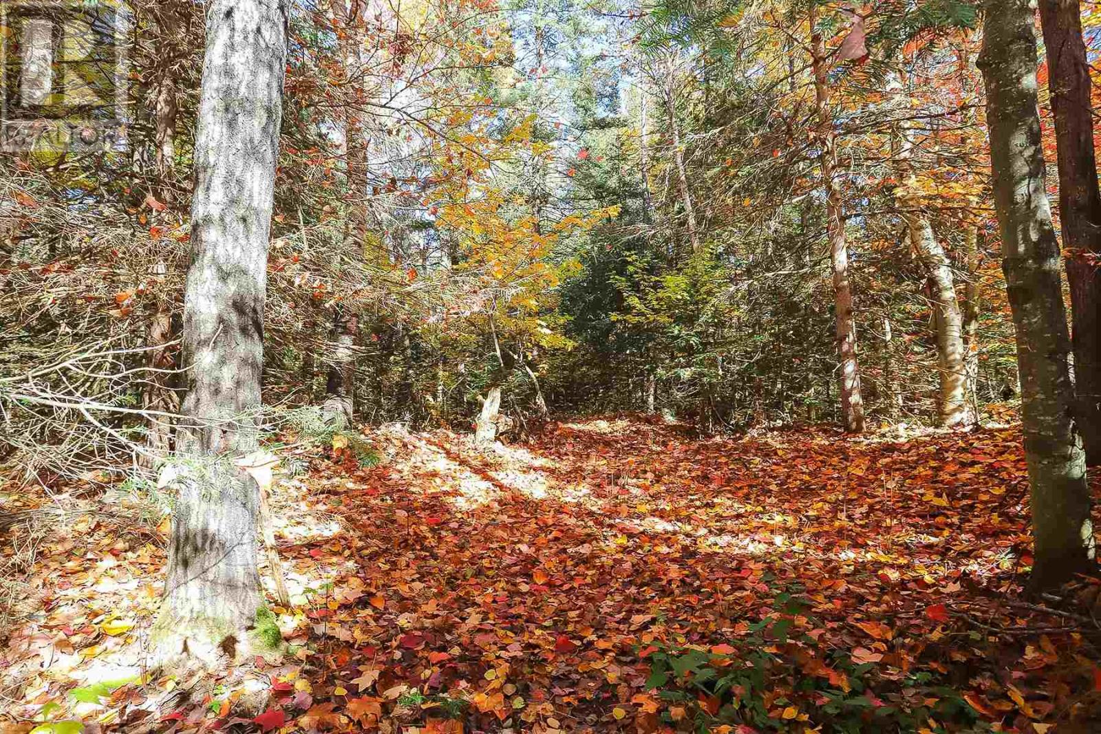 Lot 16 Nokomis Beach Rd Property Photo 6