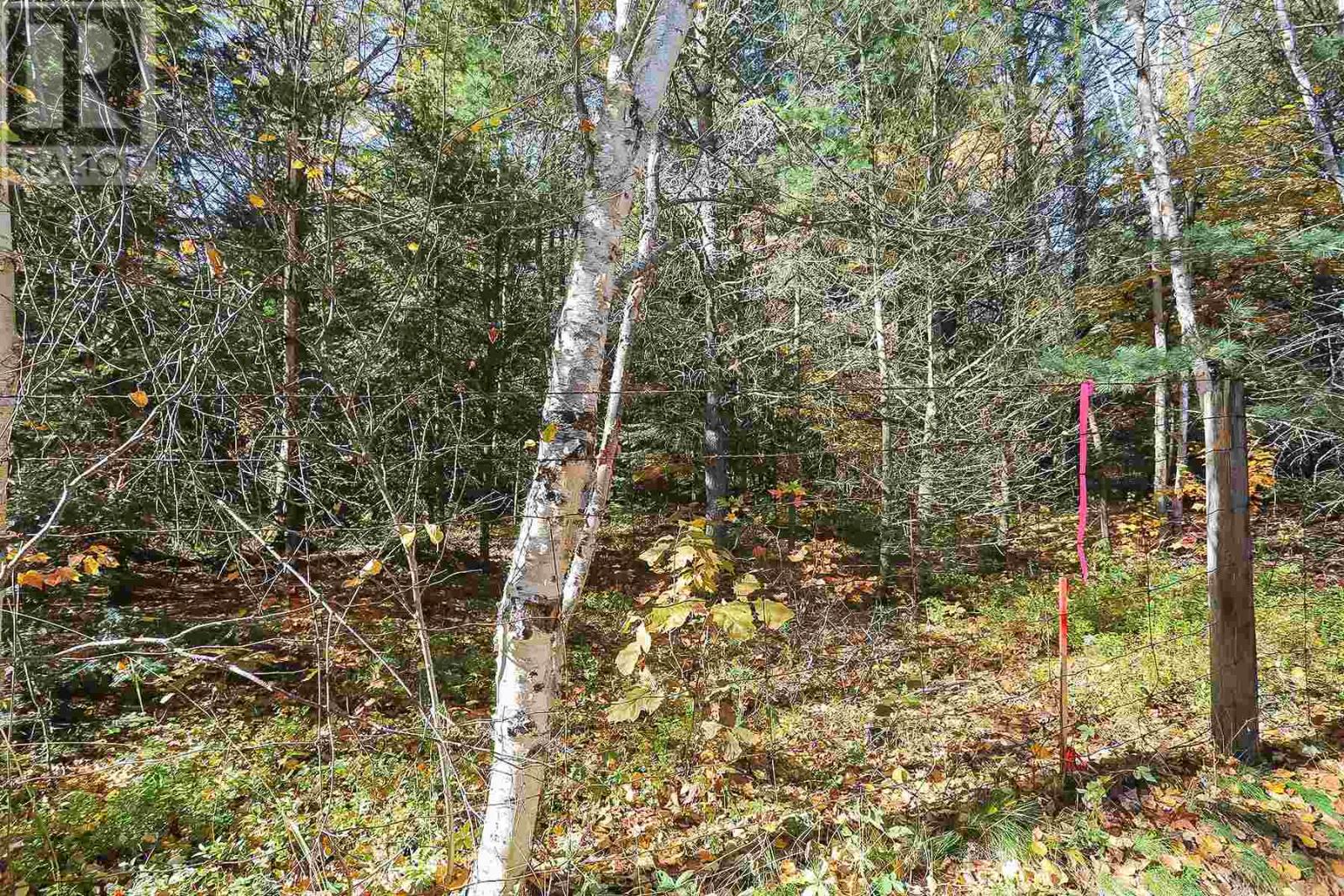 Lot 16 Nokomis Beach Rd Property Photo 7