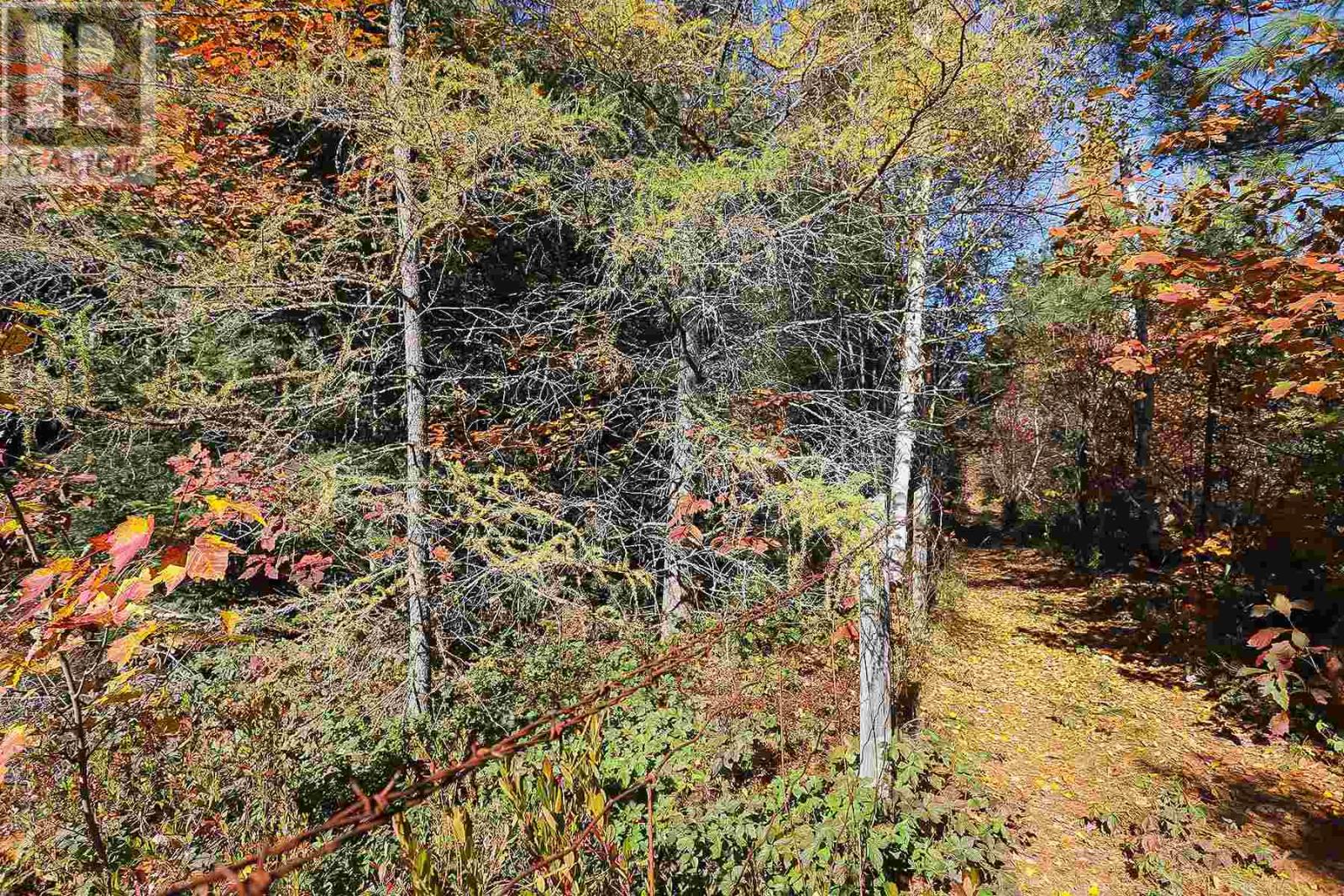 Lot 16 Nokomis Beach Rd Property Photo 9