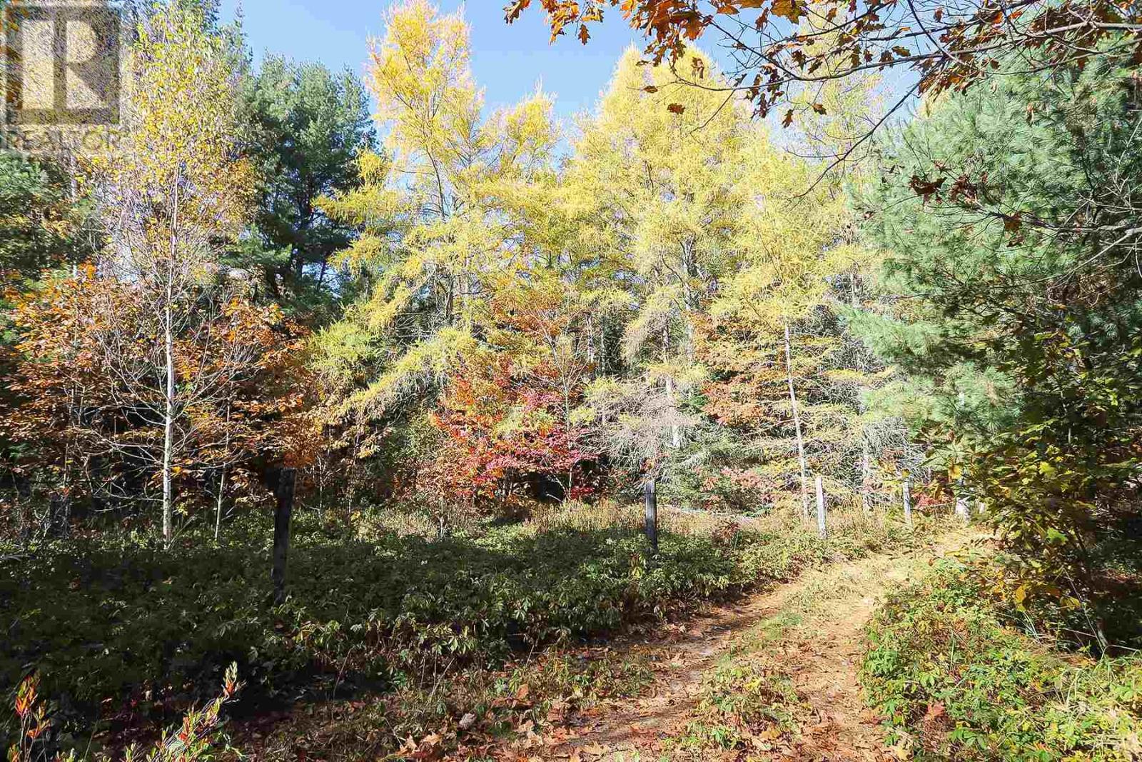Lot 16 Nokomis Beach Rd Property Photo 10