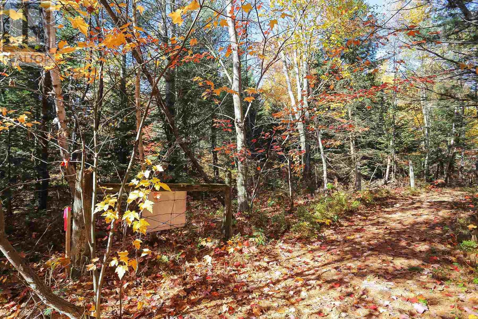 Lot 16 Nokomis Beach Rd Property Photo 13