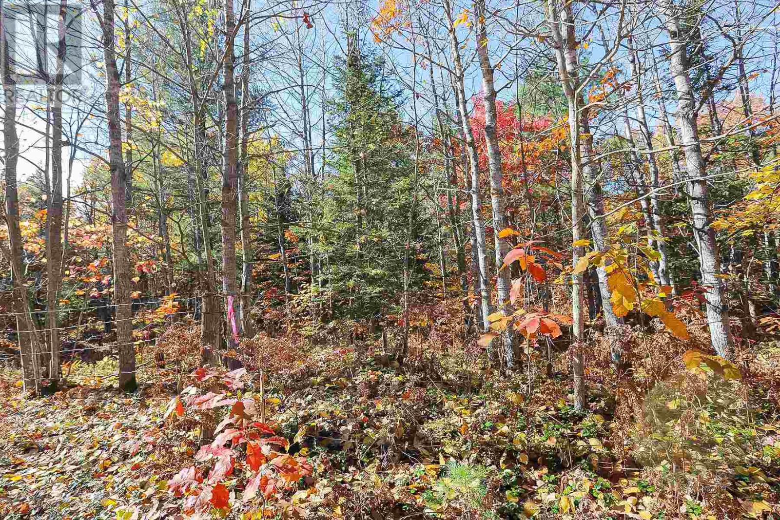Lot 18 Nokomis Beach Rd Property Photo 3