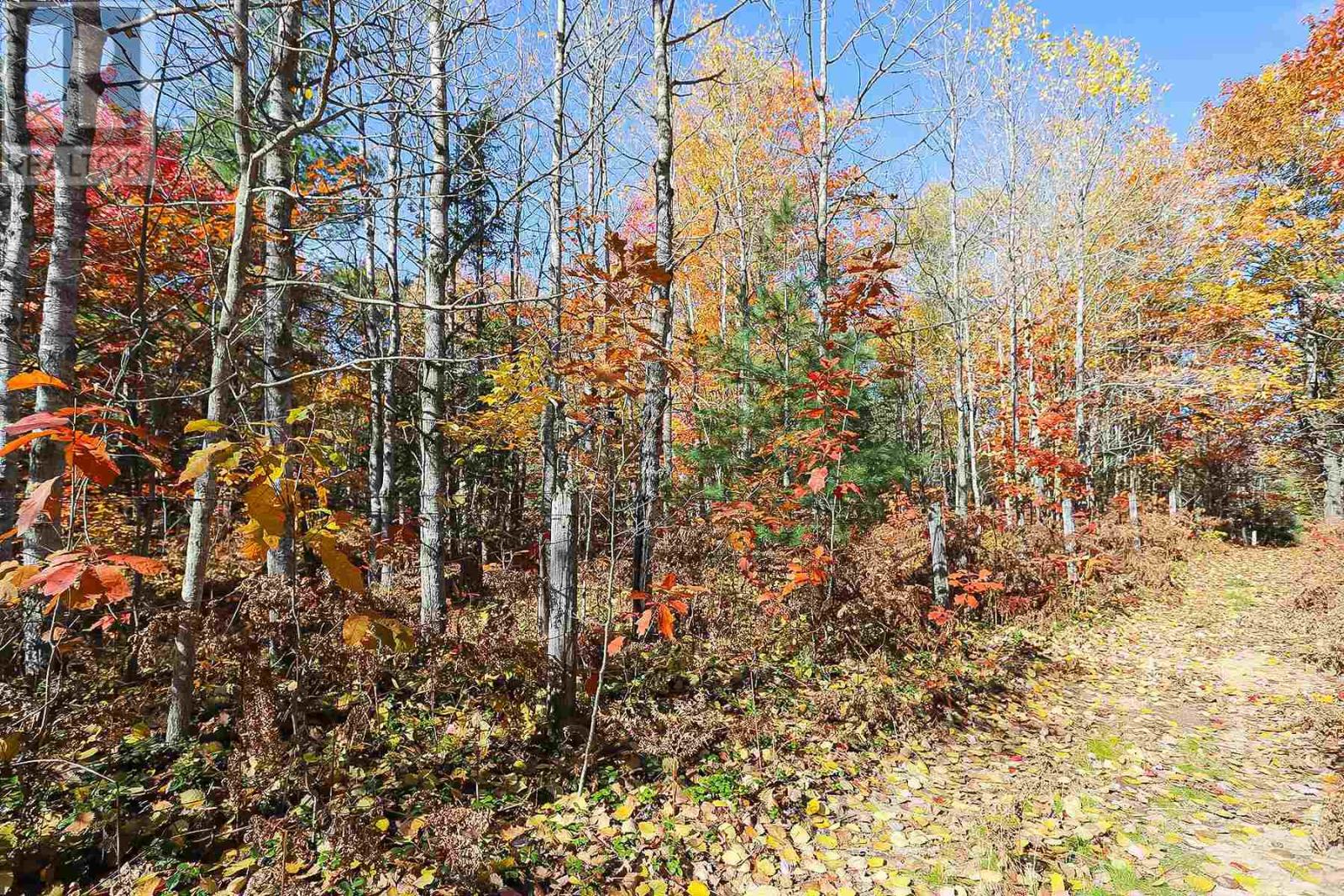 Lot 18 Nokomis Beach Rd Property Photo 4