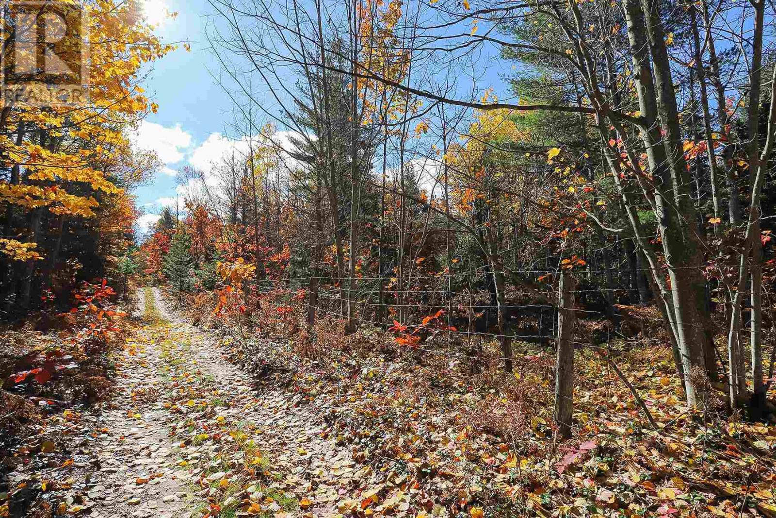 Lot 18 Nokomis Beach Rd Property Photo 5