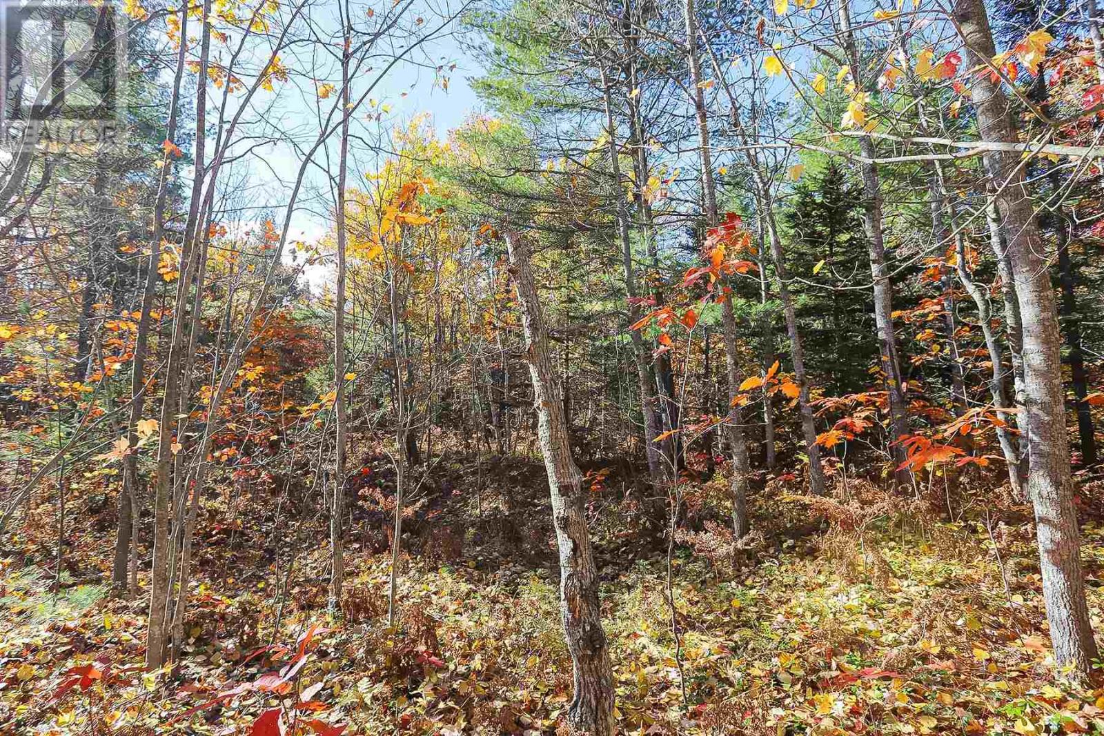 Lot 18 Nokomis Beach Rd Property Photo 6