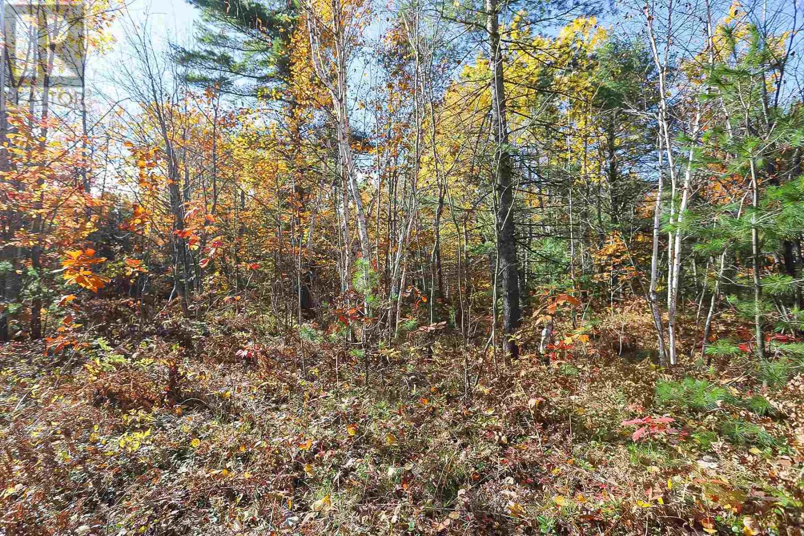 Lot 18 Nokomis Beach Rd Property Photo 7