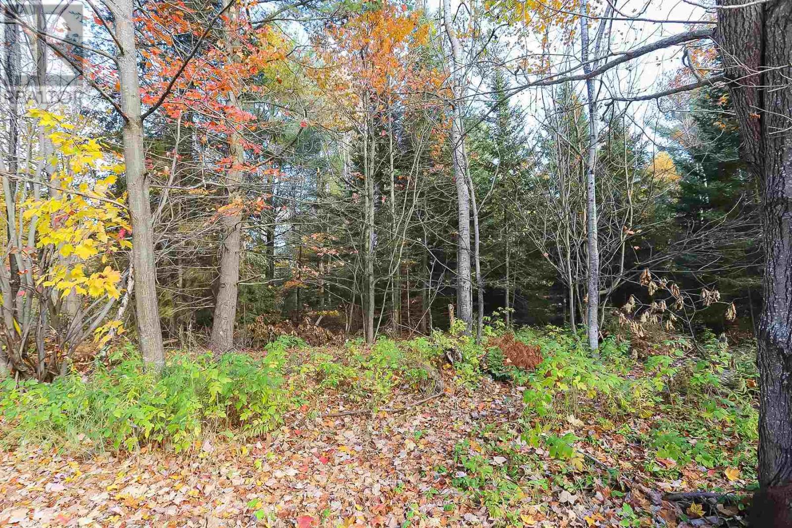 Lot 18 Nokomis Beach Rd Property Photo 11