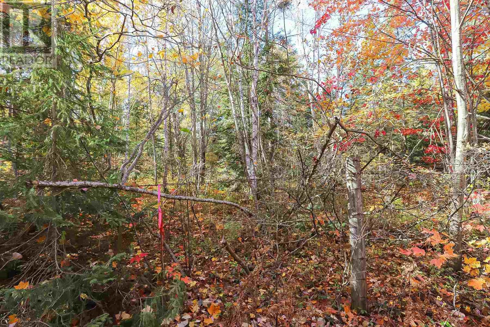 Lot 19 Nokomis Beach Rd Property Photo 4