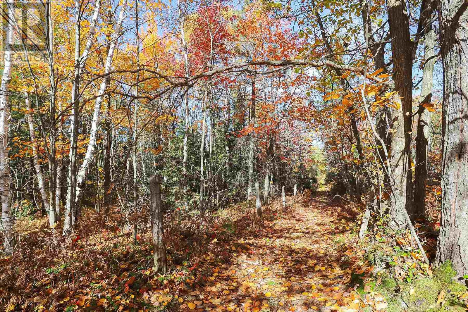 Lot 19 Nokomis Beach Rd Property Photo 8