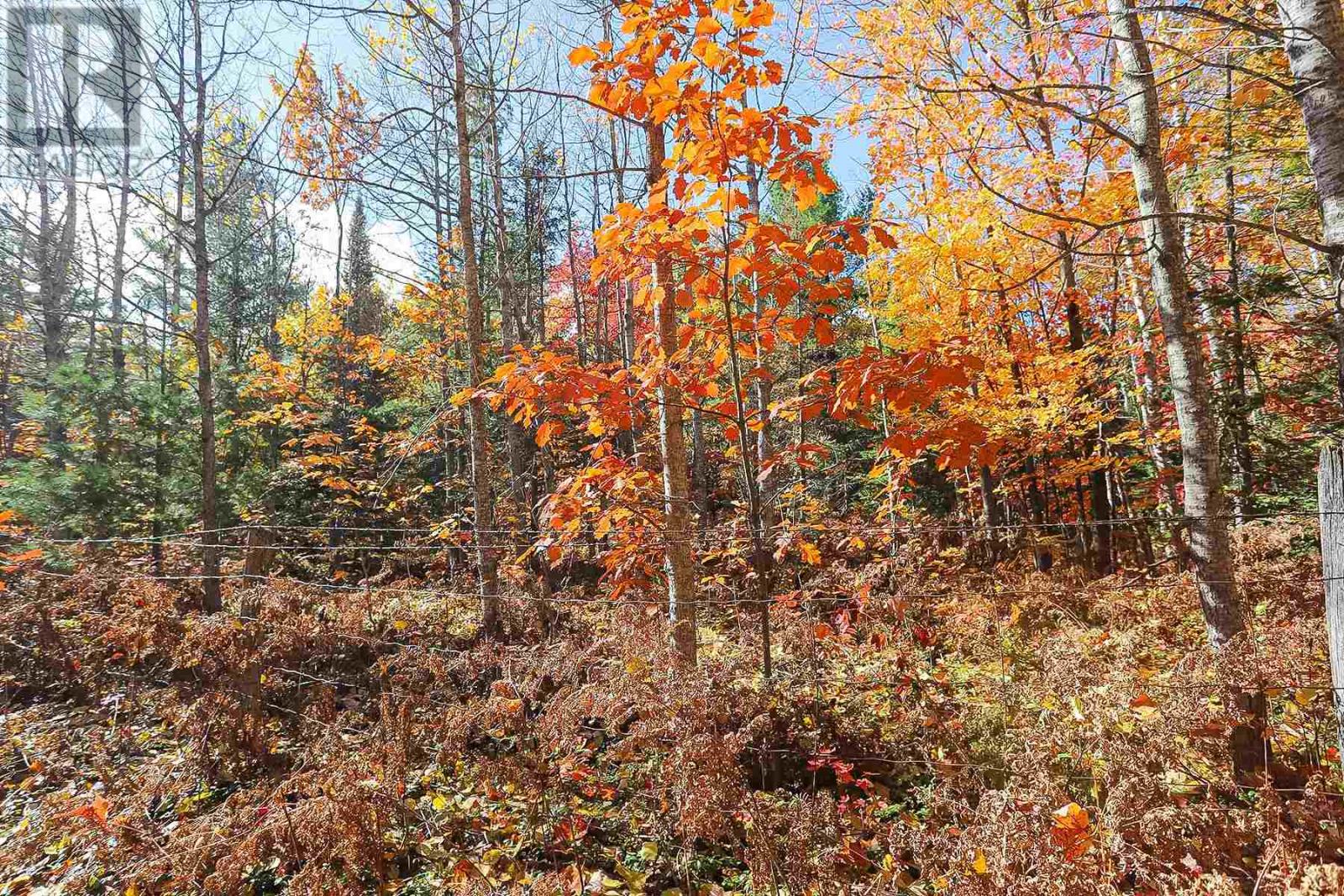 Lot 19 Nokomis Beach Rd Property Photo 9