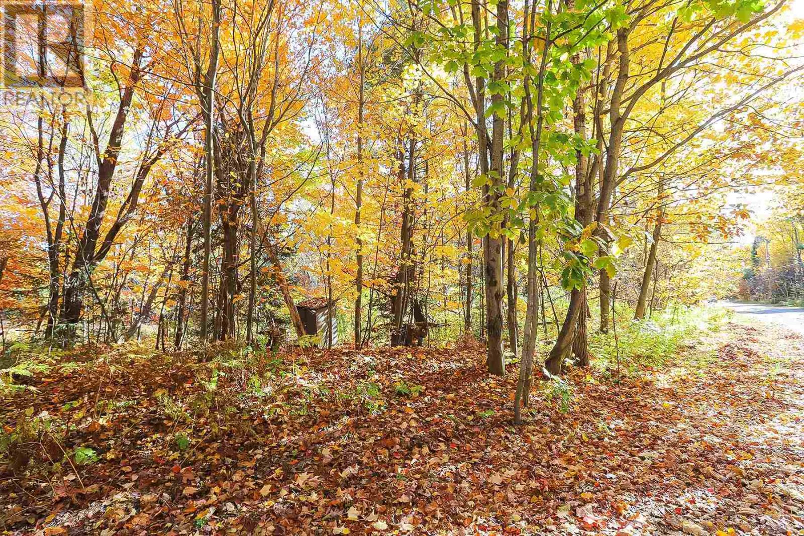 Lot 19 Nokomis Beach Rd Property Photo 11