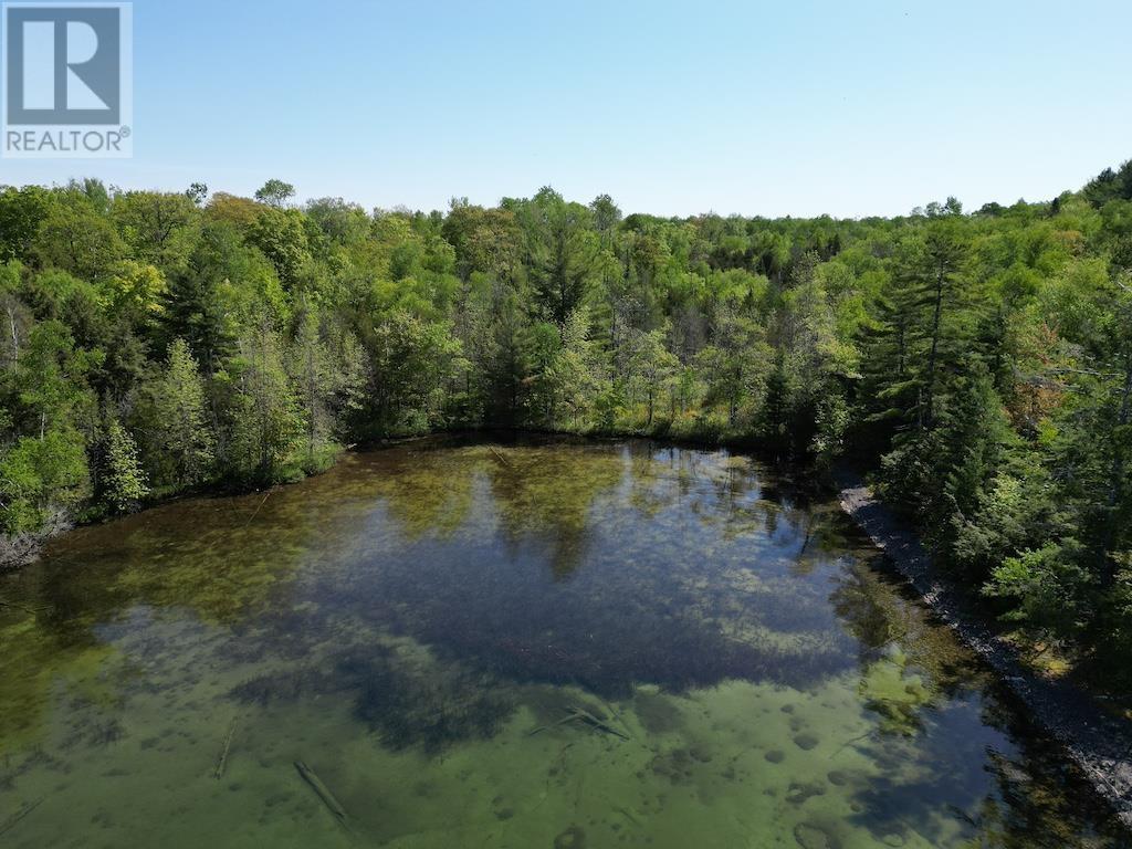1016 Lauzon Village Rd Property Photo 7