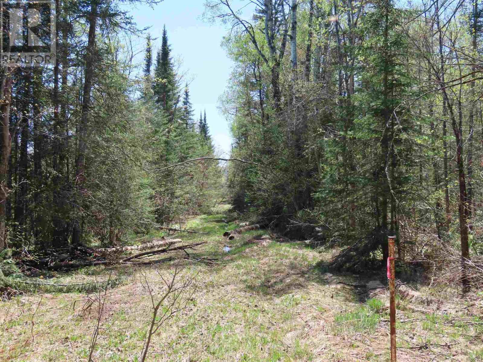 Pt Sec 20 Robertson Lake Rd Property Photo 1